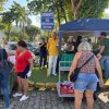 Feira de Mudas – Vasinhos esgotam em tempo recorde!